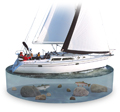Sailboats