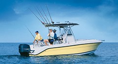 Saltwater Fishing