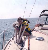 Dogs Boating