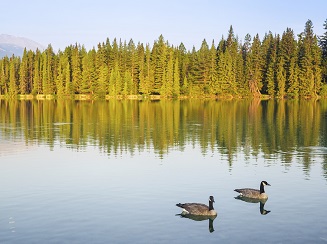 Green boating