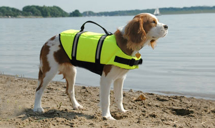 Boating-with-Pets.jpg