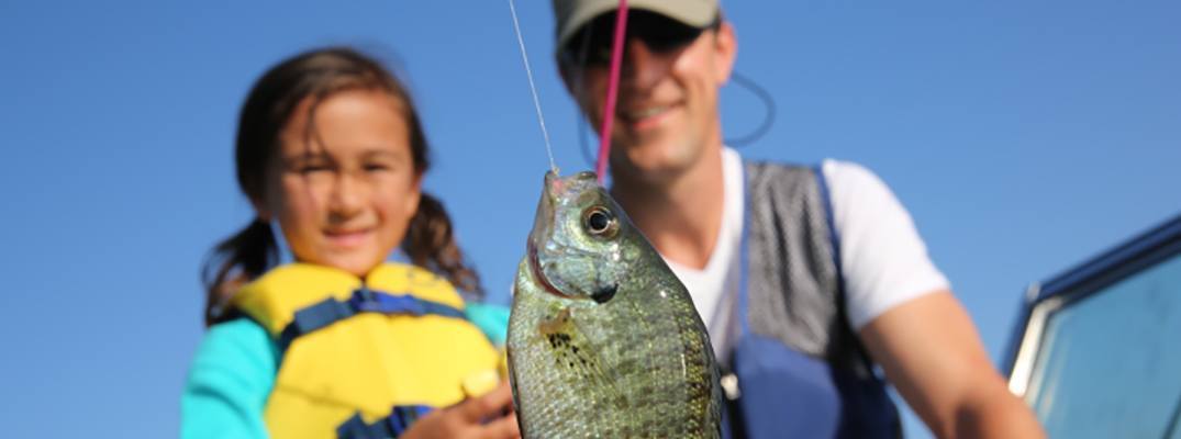 Freshwater Fishing