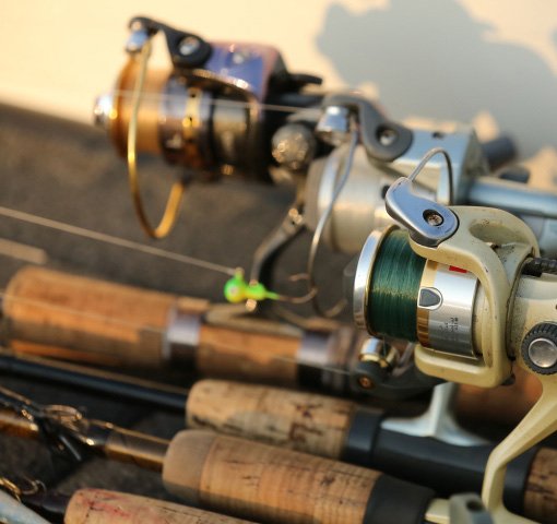 Selecting your freshwater fishing gear